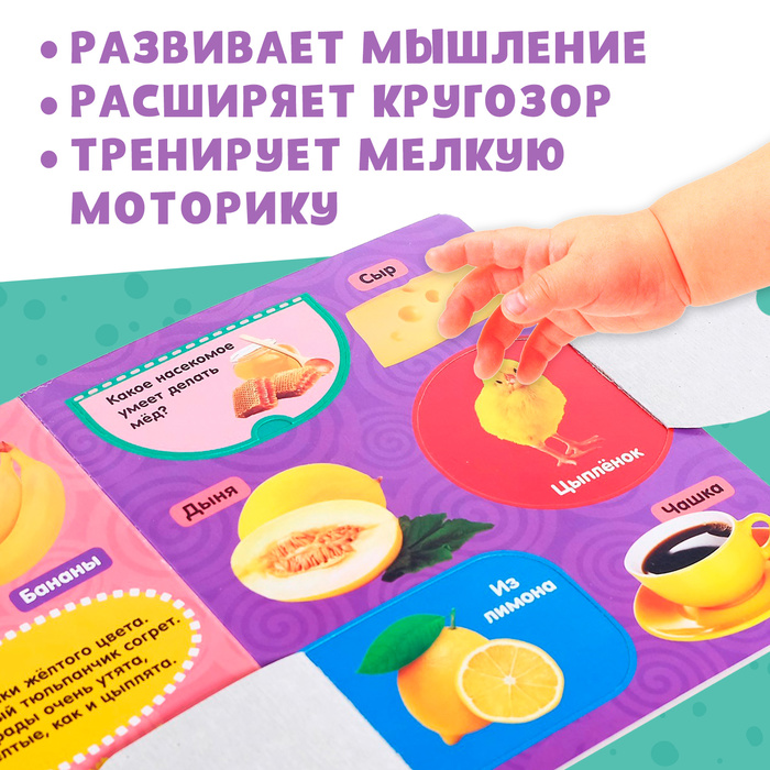 Книжка картонная с окошками «Цвета», 10 стр. 2364813
