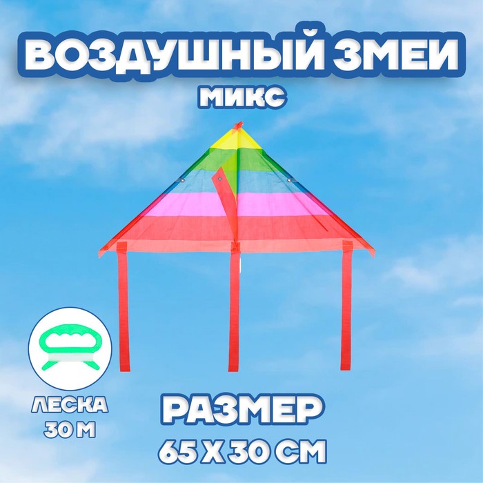 Воздушный змей с леской, виды МИКС 2807445