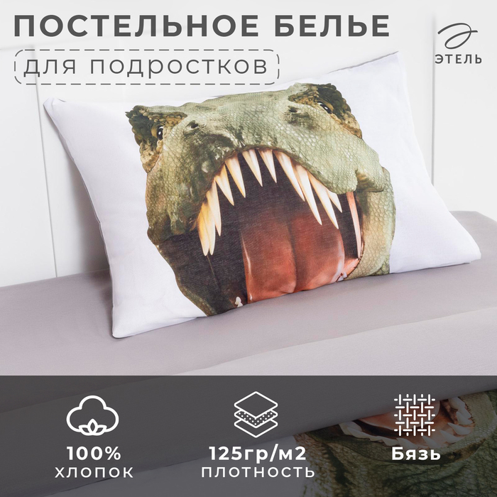 Постельное белье Этель 1,5 сп Green Dino 143х215 см, 150х214 см, 50х70 см -1 шт 4935514