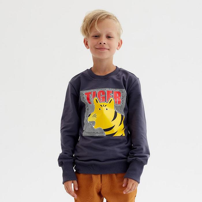 Свитшот для мальчика MINAKU: Casual Collection KIDS цвет графит, рост 122 6880261