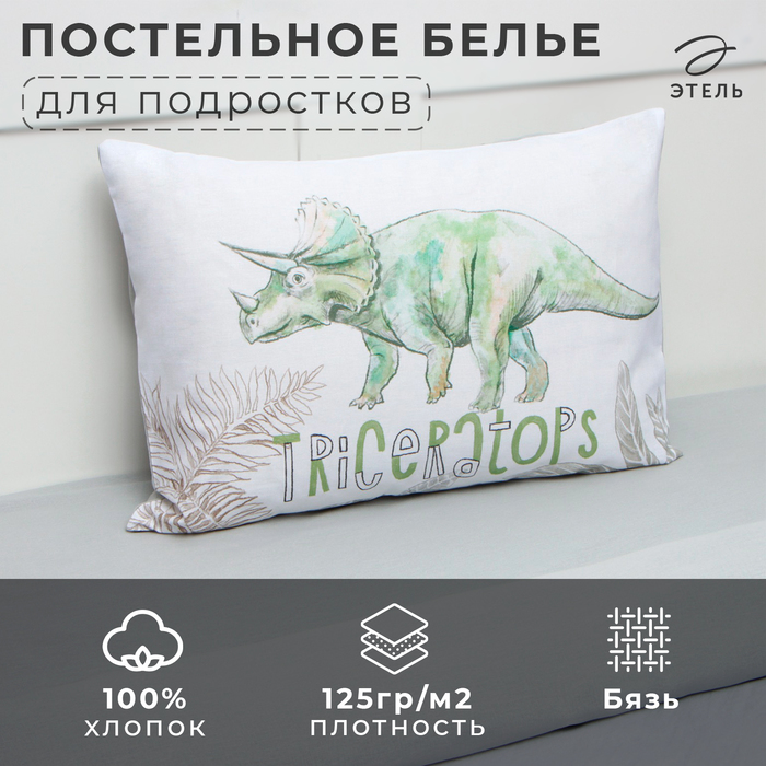 Постельное бельё Этель 1,5 сп Dino world 143х215 см, 150х214 см, 50х70 см -1 шт, 9935046