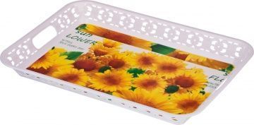 поднос 45х32 см 459-096
