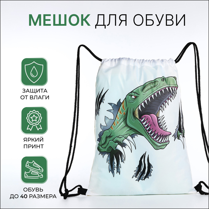 Мешок для обуви на шнурке, цвет белый 9824434