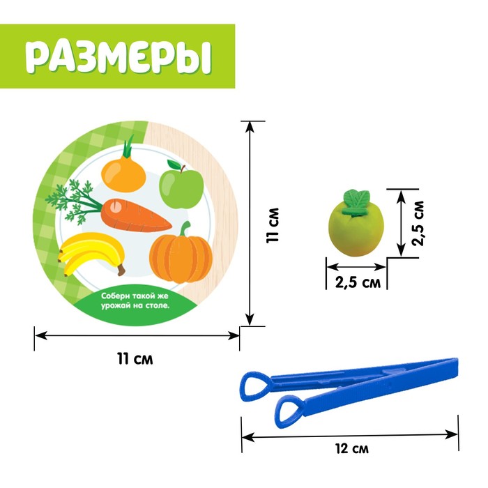 Набор для сортировки «Вкусная тарелка», по методике Монтессори, 20 заданий, 3+ 4655803