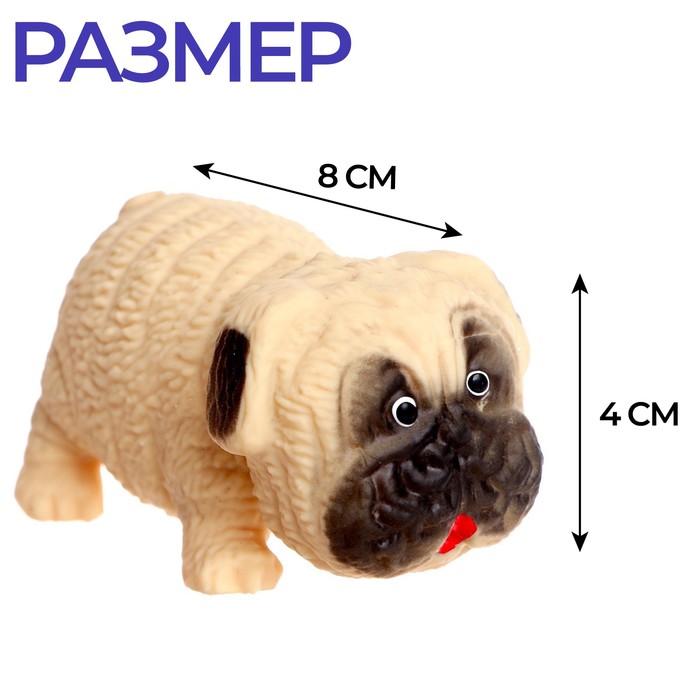Мялка антистресс тянучка «Собака», с песком, в шоубоксе 7294519