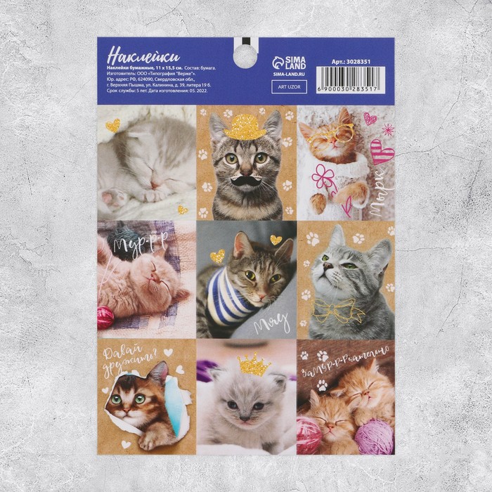Наклейки детские «Замуррчательные котики», 11 х 15.5 см 3028351