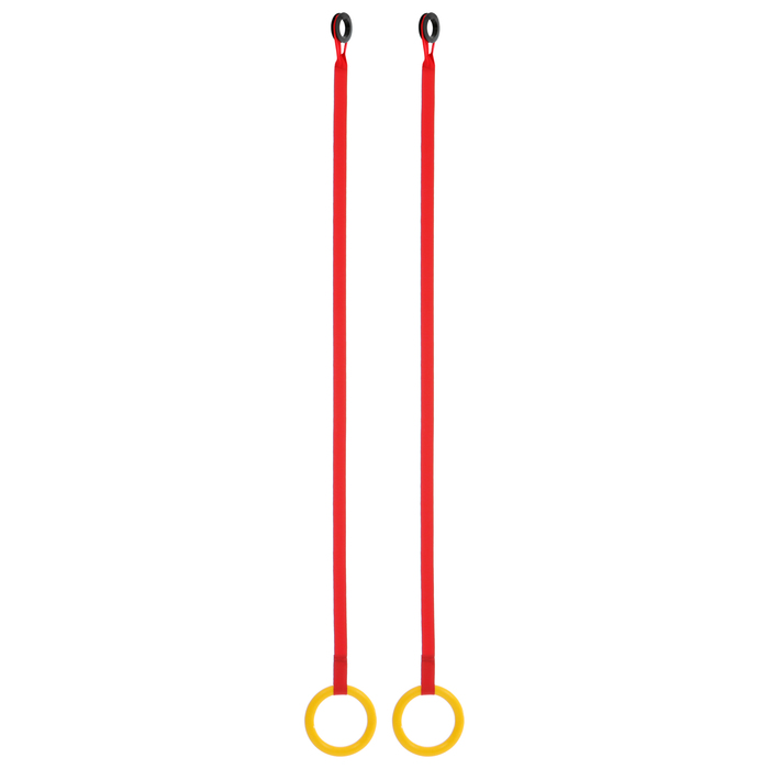 Кольца гимнастические, цвет МИКС 3640084