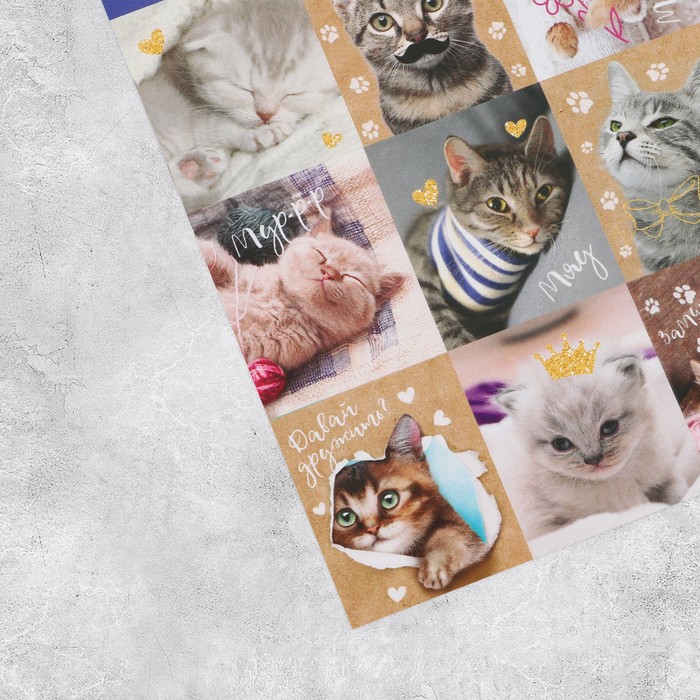 Наклейки детские «Замуррчательные котики», 11 х 15.5 см 3028351
