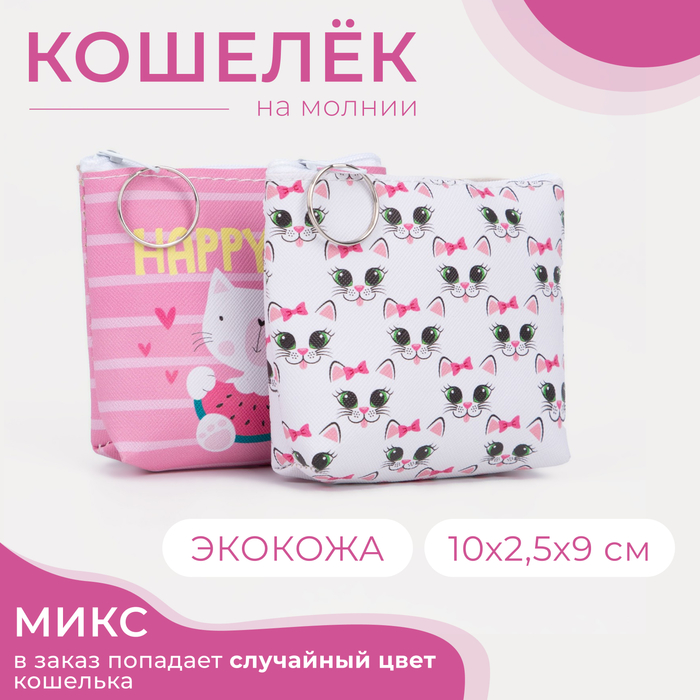 Кошелёк на молнии, цвет МИКС 4643216