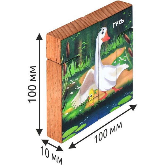 Магнитная головоломка по системе раннего развития «Гусь» 9502793