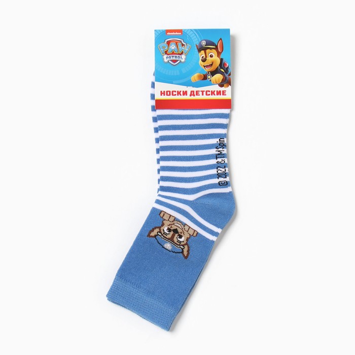 Носки PAW PATROL «Гончик», цвет синий, 16-18 см 6896738