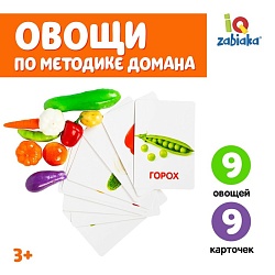 Обучающий набор по методике Г. Домана «Овощи»: 9 карточек + 9 овощей, счётный материал, Обучающий набор по методике Г. Домана «Овощи»: 9 карточек + 9 овощей, счётный материал 4096684