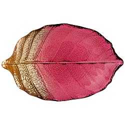 блюдо leaf bordeaux 21см, блюдо leaf bordeaux 21см 339-343