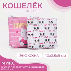 Кошелёк на молнии, цвет МИКС, Кошелёк на молнии, цвет МИКС 4643216